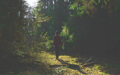 A Path Made Just for Me