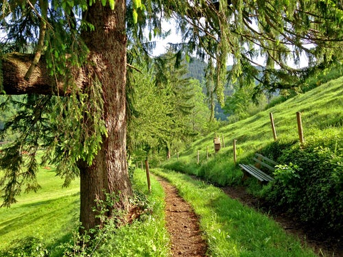 A Place I’m Passing Through