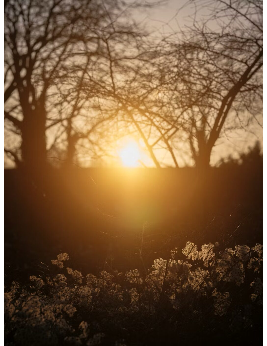 God’s Early Morning Call
