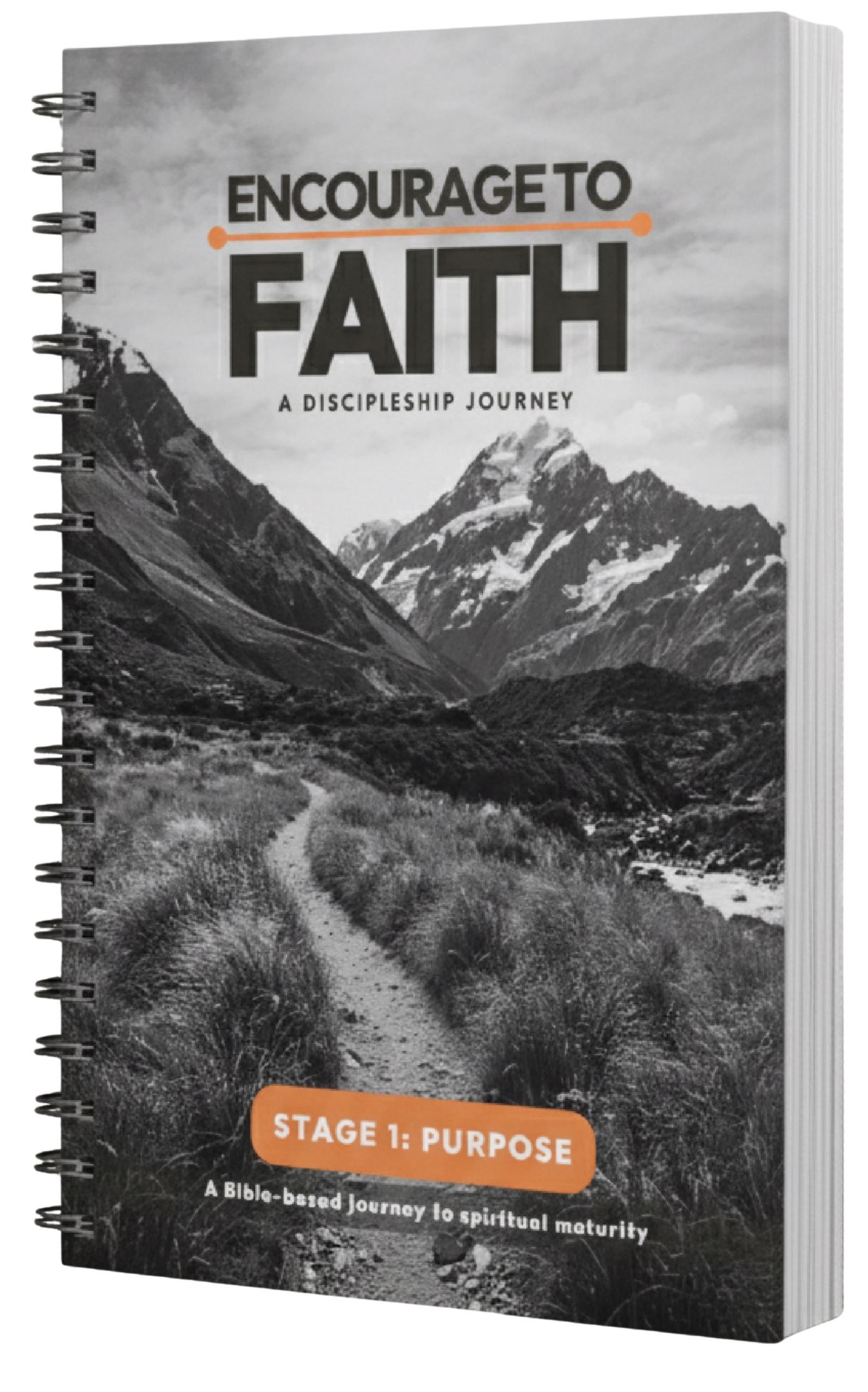 Image of Discipleship Guide front cover