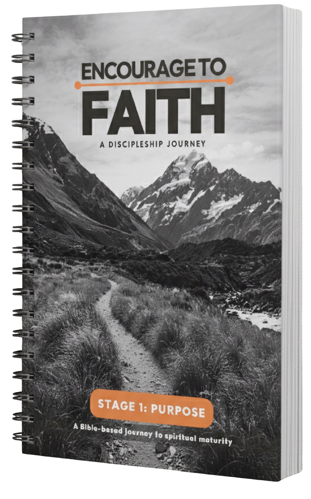 Image of Discipleship Guide front cover